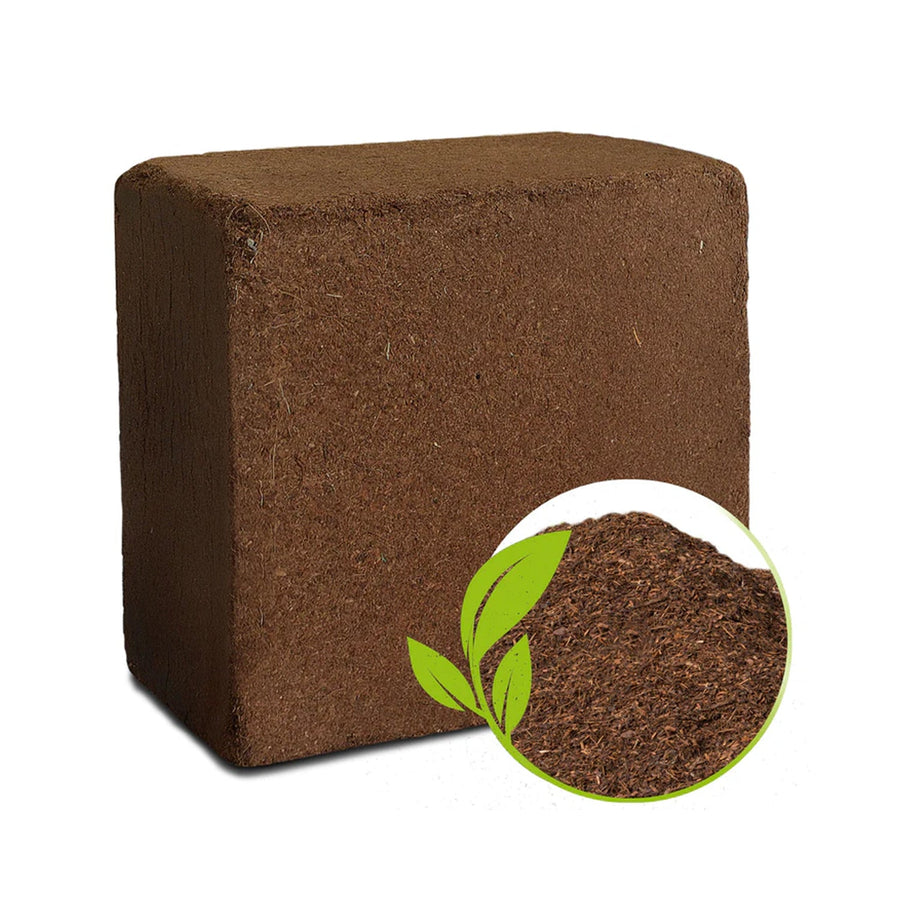 Organic Cocopeat Block – 1 KG Potting Mix for Plants | Styleva