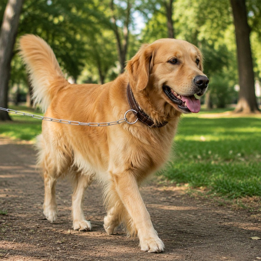 Heavy Duty Dog Chain Leash – Durable 67-inch Pet Tether for Control
